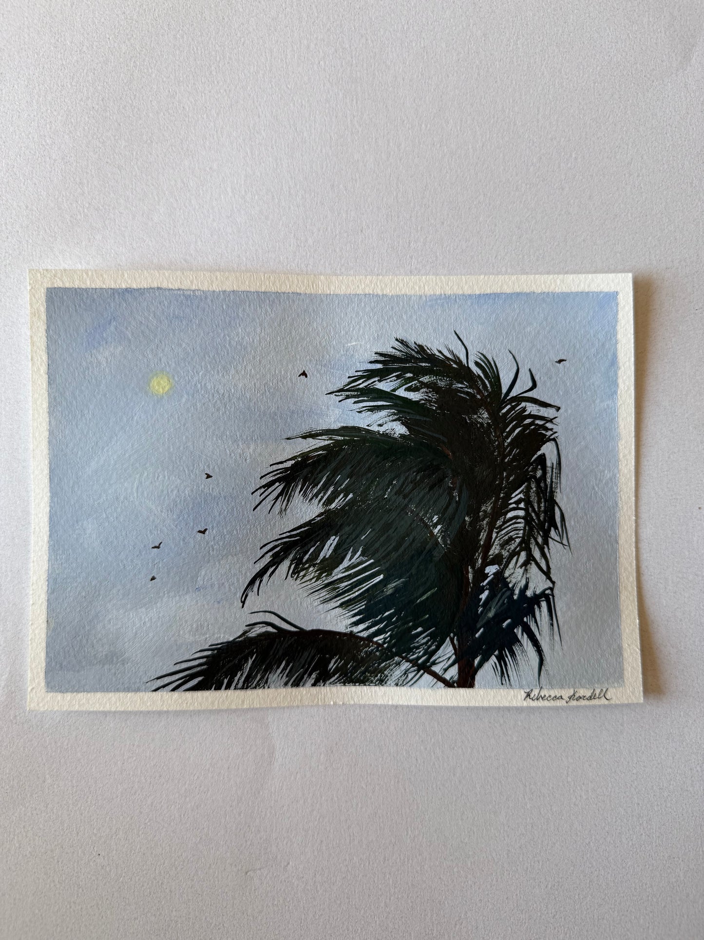 Kaua’i Nights
