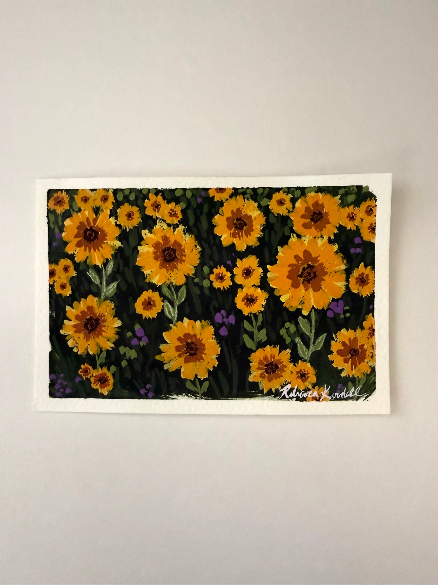 Helianthus