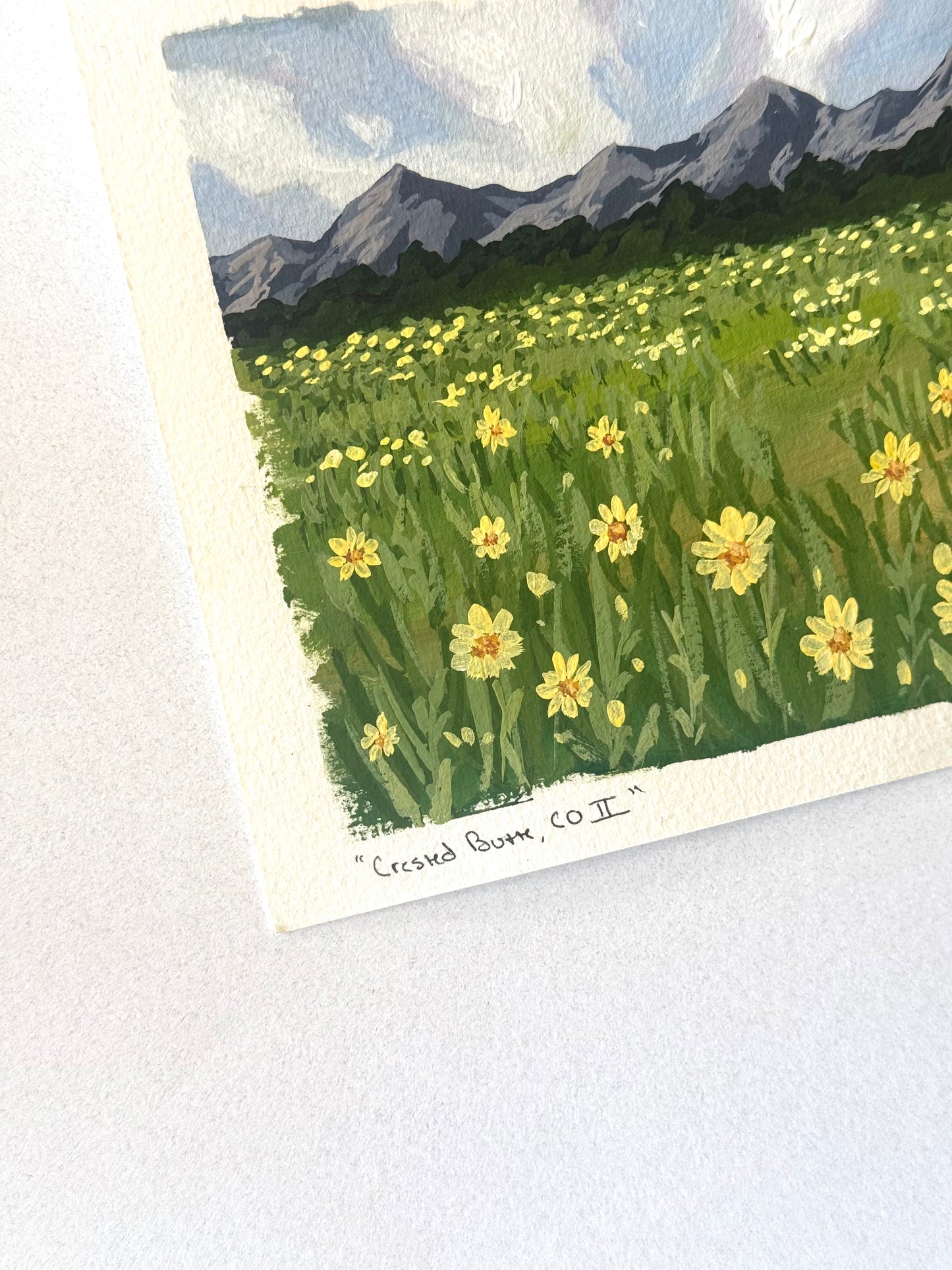 Day 72 - "Crested Butte, CO II"