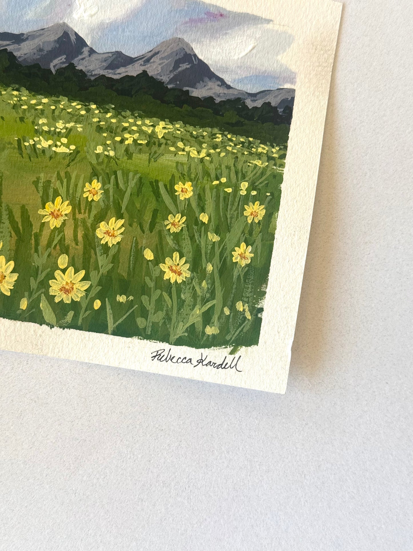 Day 72 - "Crested Butte, CO II"