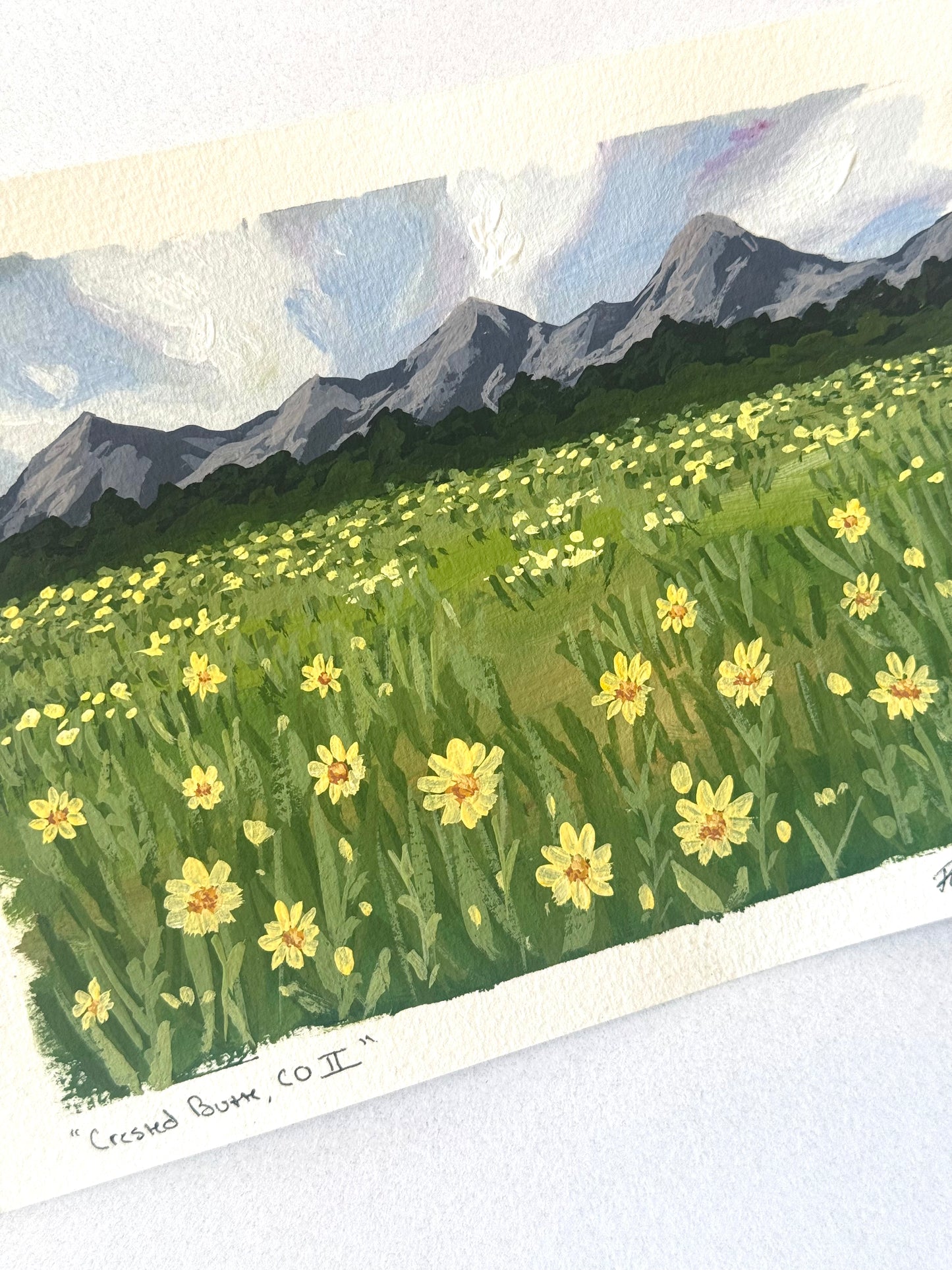 Day 72 - "Crested Butte, CO II"