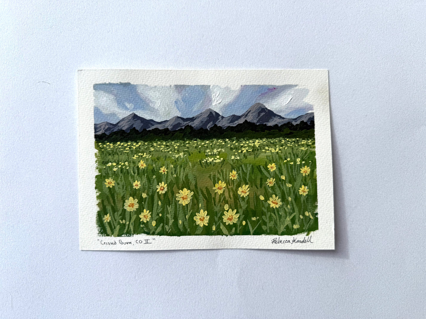 Day 72 - "Crested Butte, CO II"