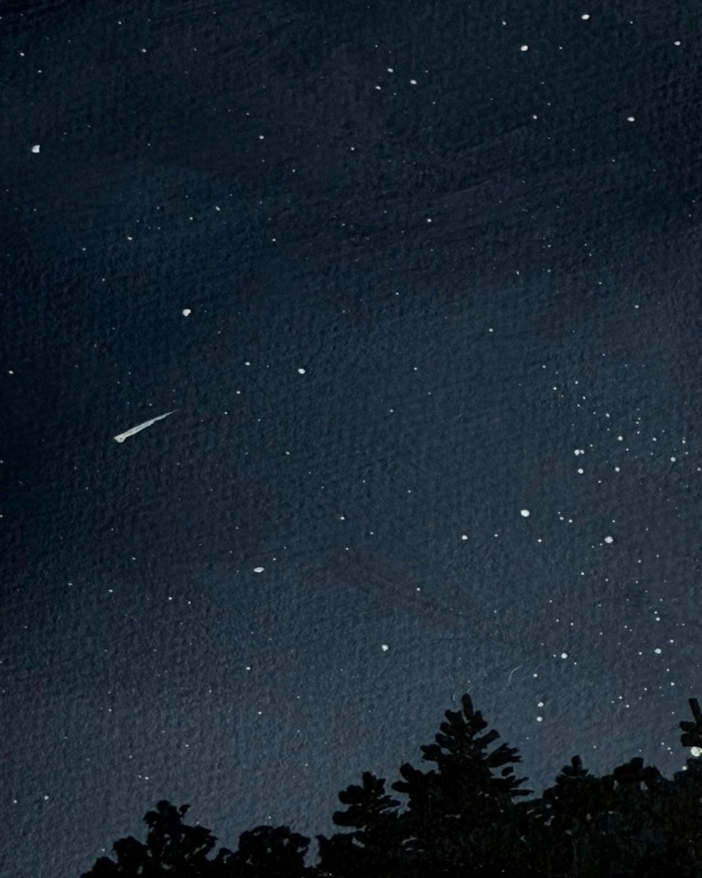 Starry Night Sky I