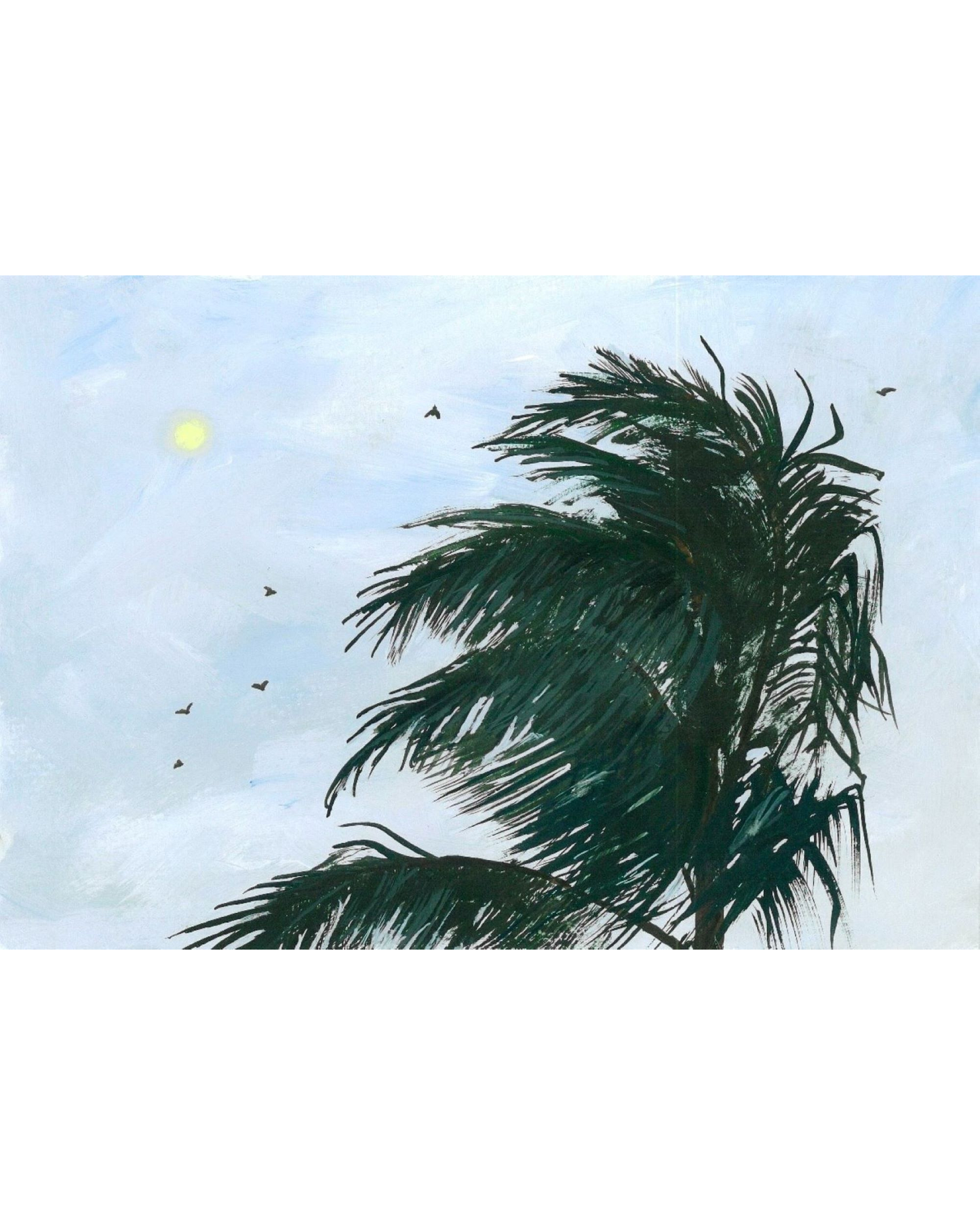 Kaua’i Nights