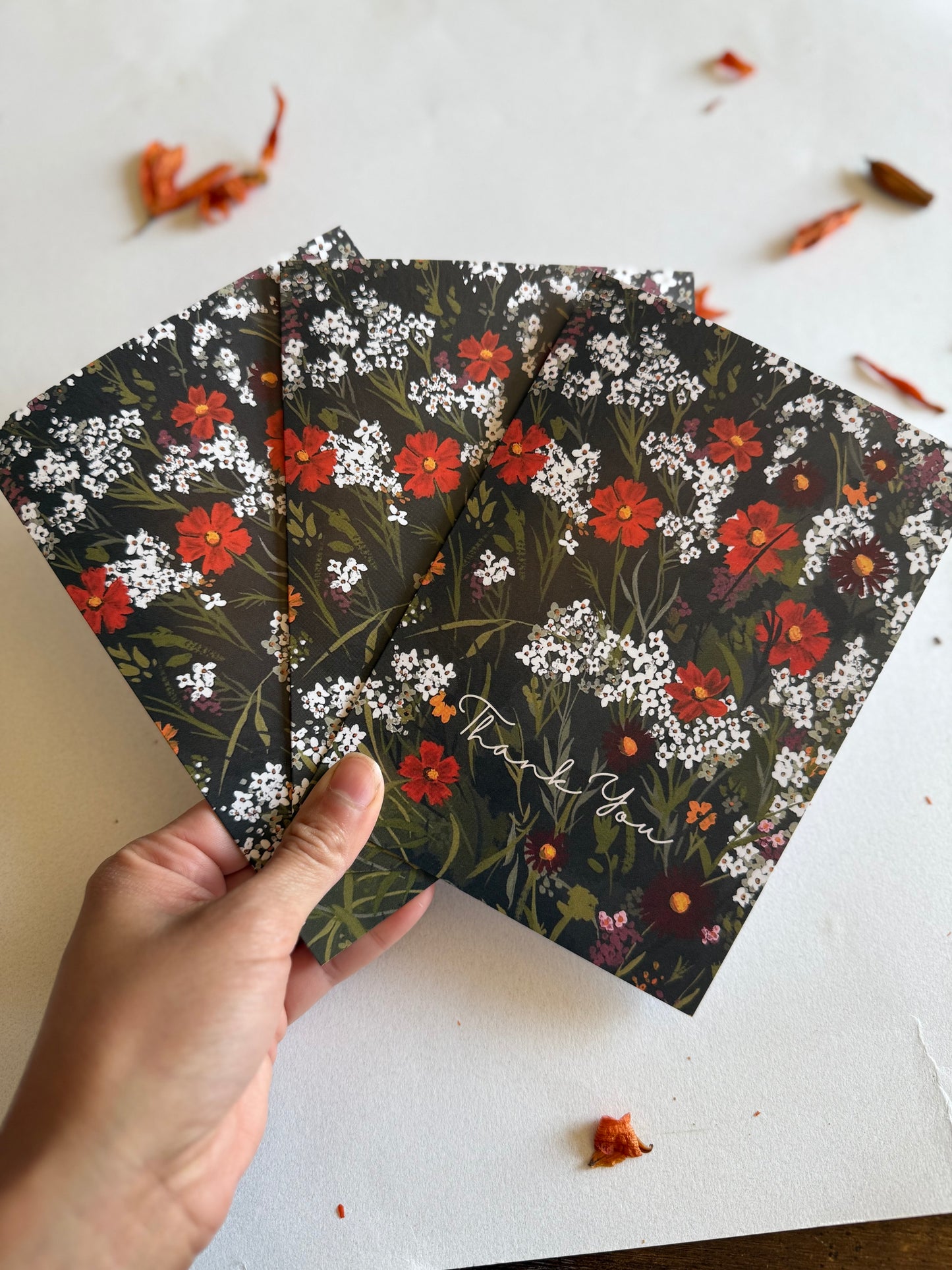 Orange Cosmos Greeting Card