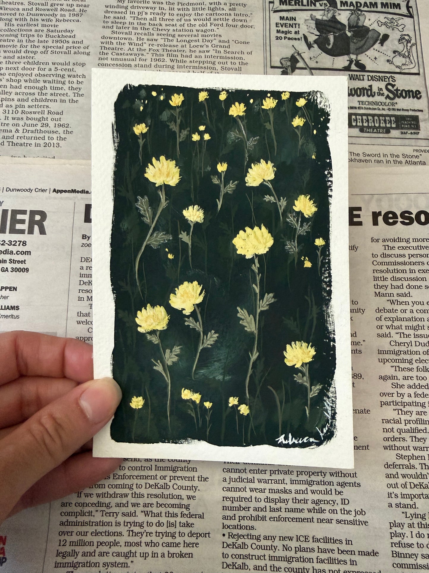 Chrysanthemum