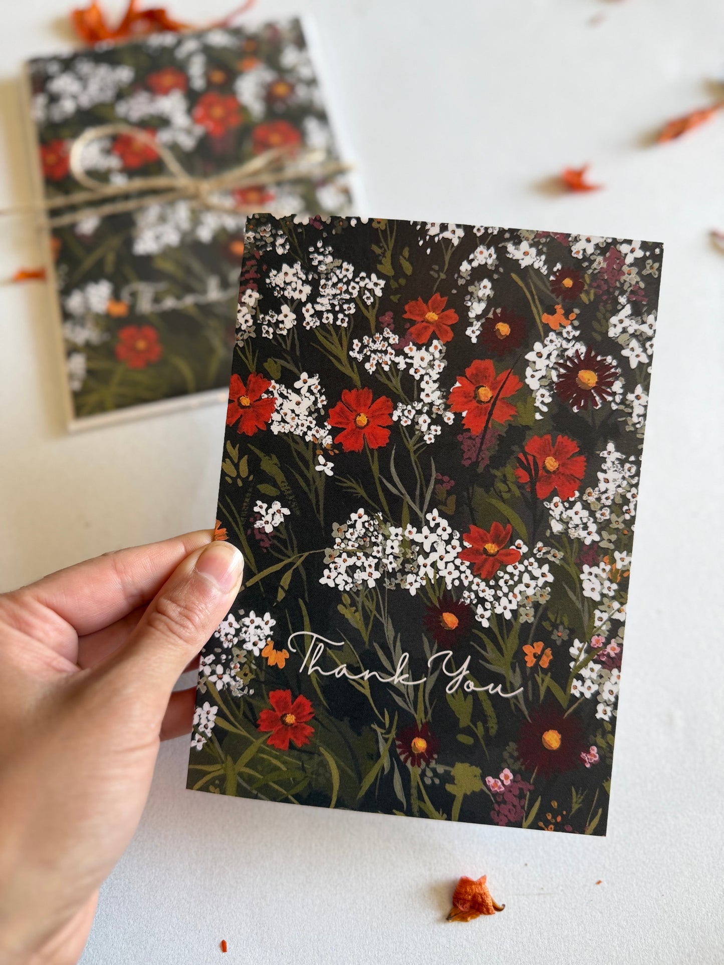 Orange Cosmos Greeting Card