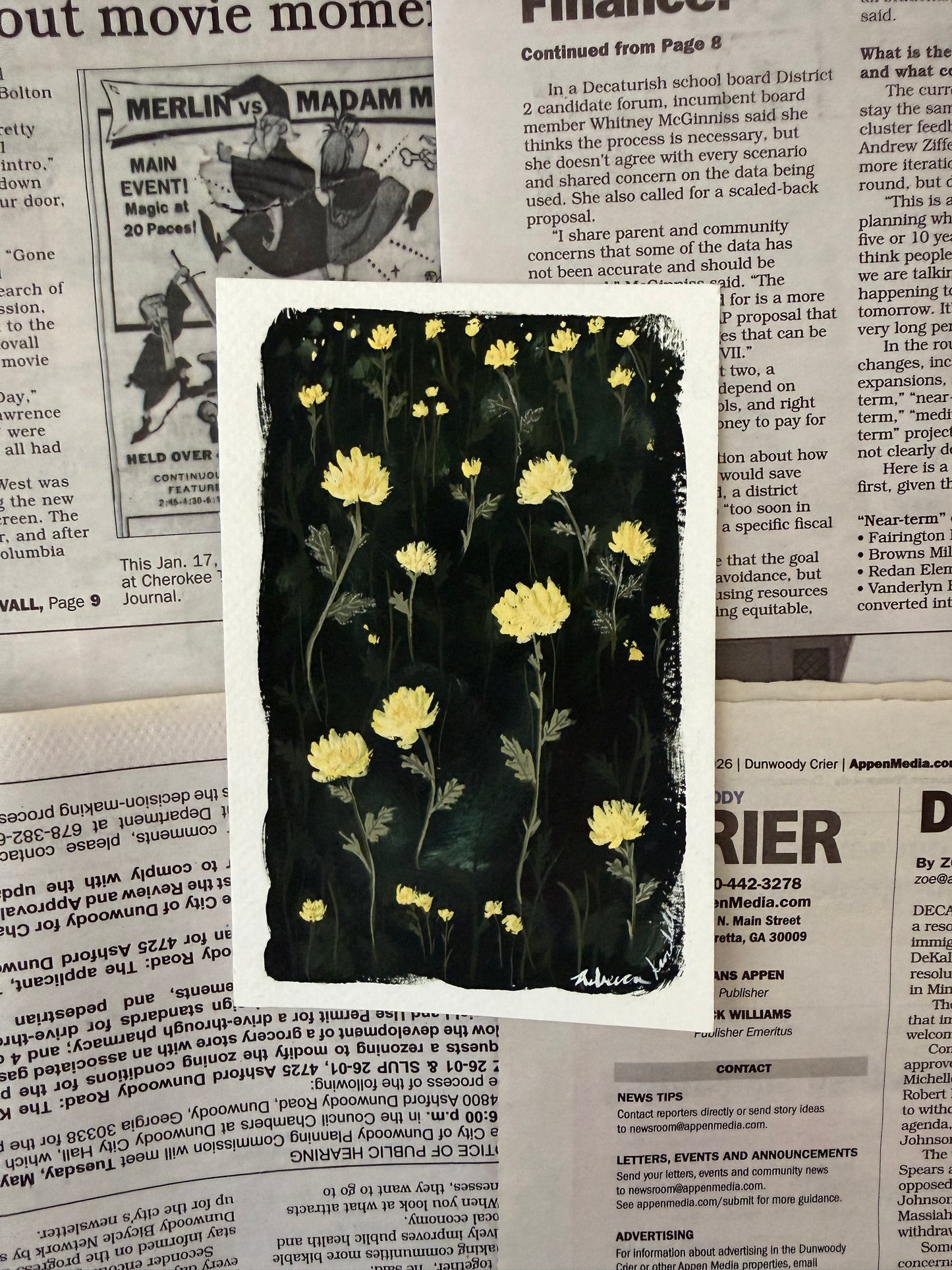 Chrysanthemum