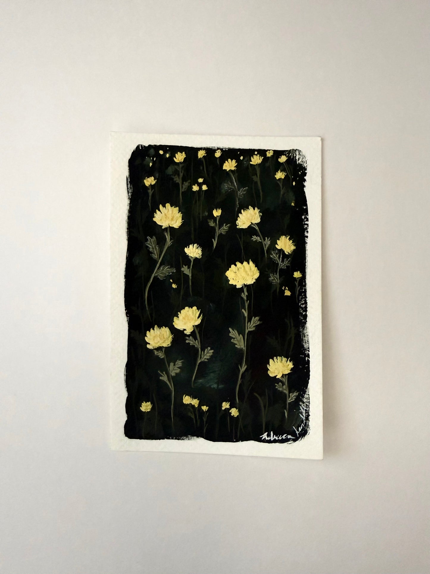 Chrysanthemum