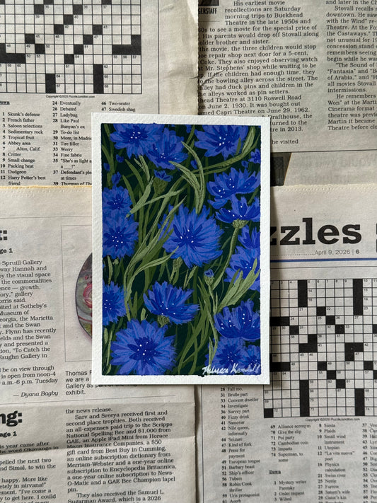 Cornflower