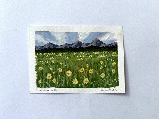 Day 72 - "Crested Butte, CO II"