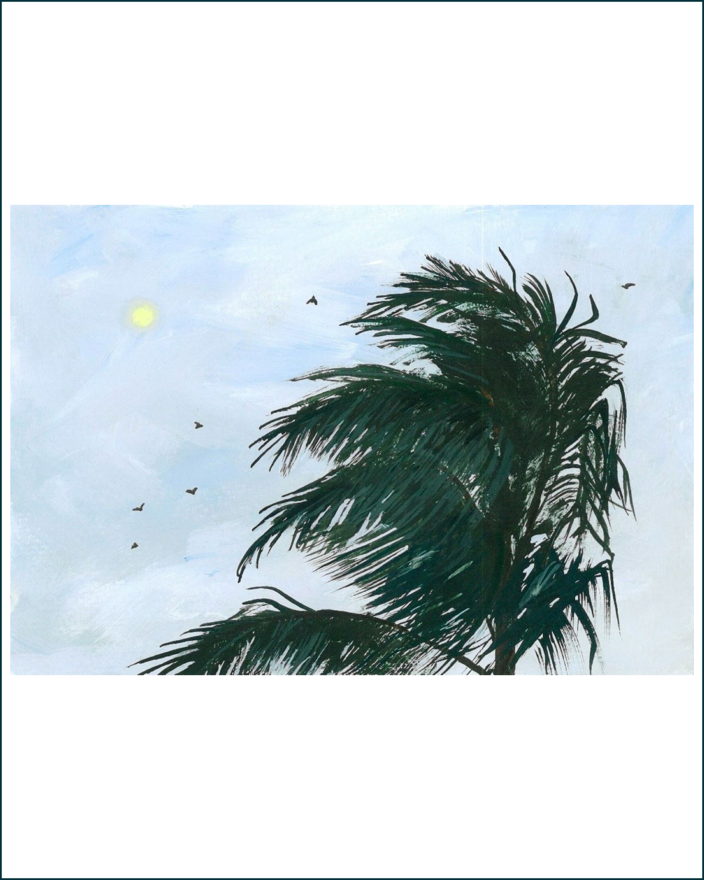 Kaua’i Nights